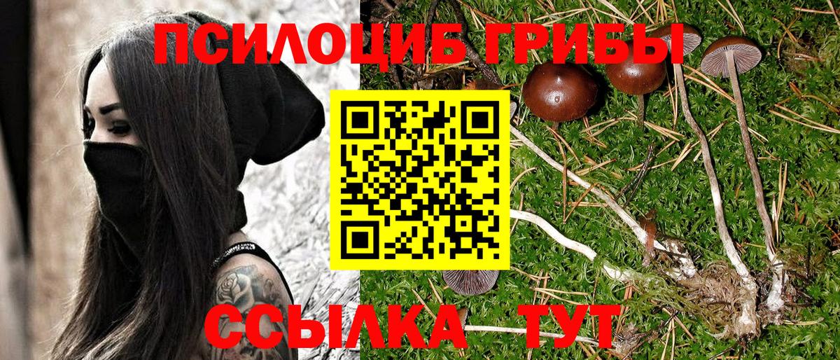 Псилоцибиновые грибы MAGIC MUSHROOMS  Псилоцибиновые грибы мухоморы  Нурлат  Вход с VPN 